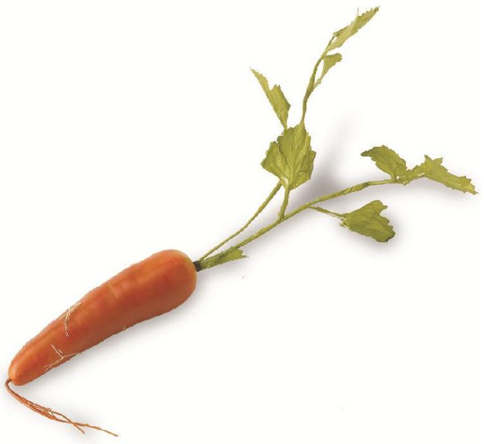 17 Inch long foam orange carrot with leaves and root