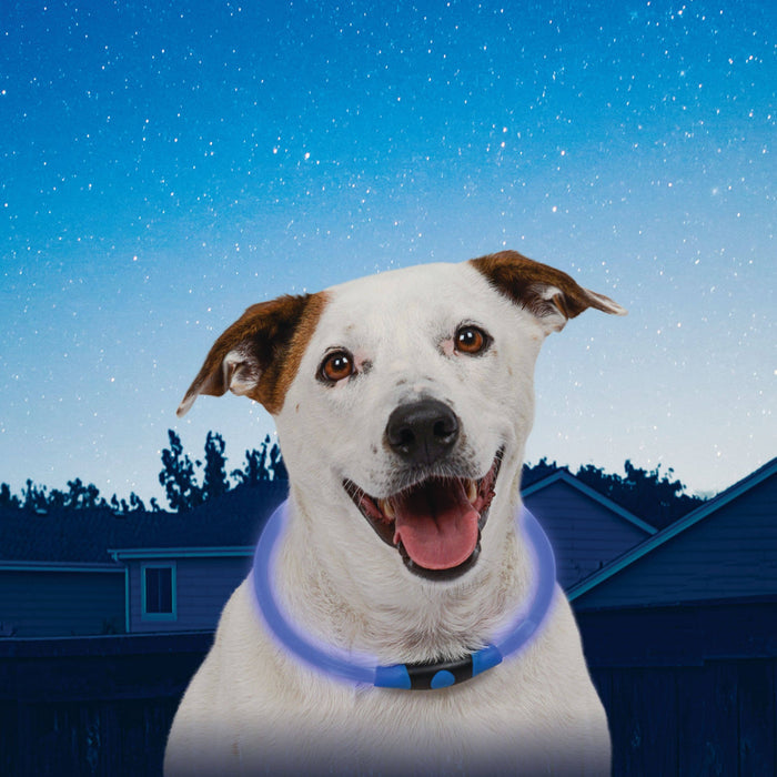 Nite Ize NiteHowl LED Safety Necklace - Blue - Dog.Dog.Cat.
