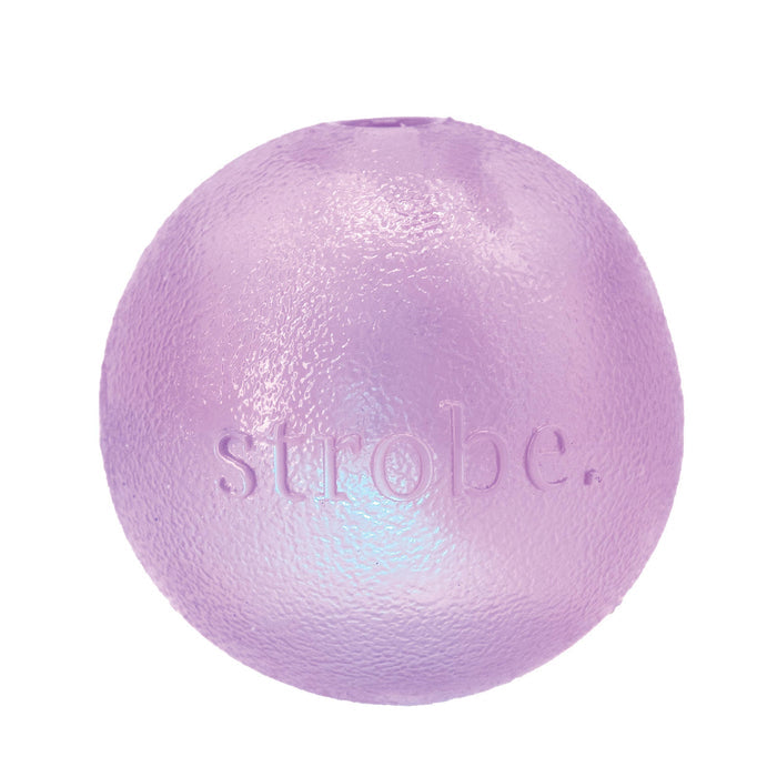 Planet Dog Orbee-Tuff Strobe Ball Light Up Dog Toy Purple - Dog.Dog.Cat.