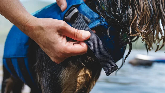 Ruffwear K-9 Float Coat - Premium Dog Life Jacket for Swimming & Boating - Dog.Dog.Cat.