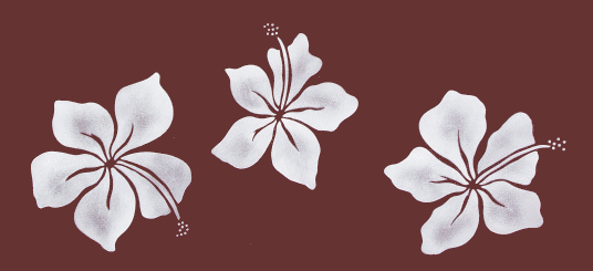#833 Hibiscus Border Stencil