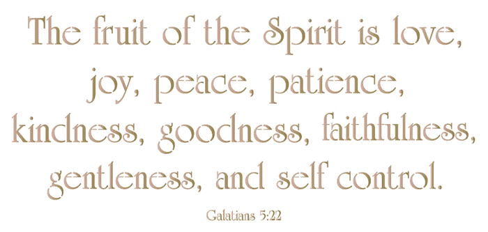#874 The fruit of the Spirit Stencil
