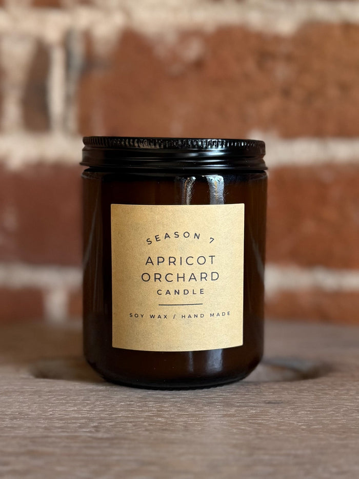 8oz Jar Hand Poured Soy Wax Candle, Apricot Orchard