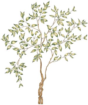 #913 Ficus Tree Stencil