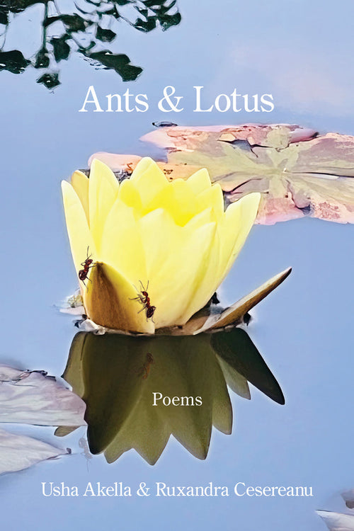 Ants and Lotus