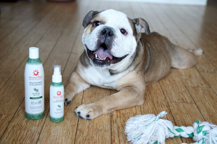 Aroma Paws - 13.5 Oz. Shampoo Rosemary Tea Tree - Dog.Dog.Cat.