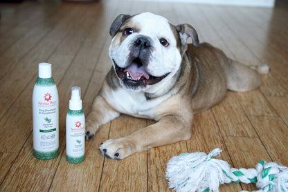 Aroma Paws - 13.5 Oz. Shampoo Rosemary Tea Tree - Dog.Dog.Cat.
