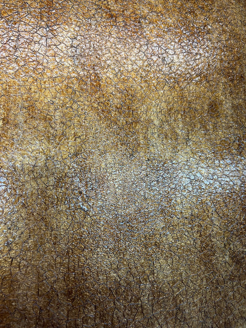 Autumn Reed
