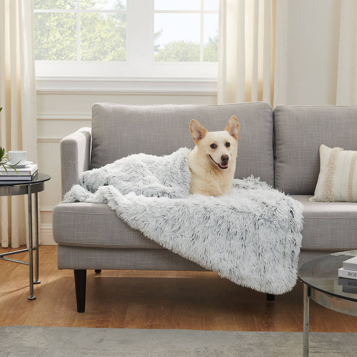 Best Friends by Sheri Blanket Shag Frost 40x50 - Dog.Dog.Cat.
