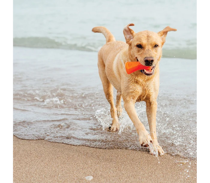Bionic Dog Toys Tail Wagging Durability in a variety of shapes and sizes - Dog.Dog.Cat.