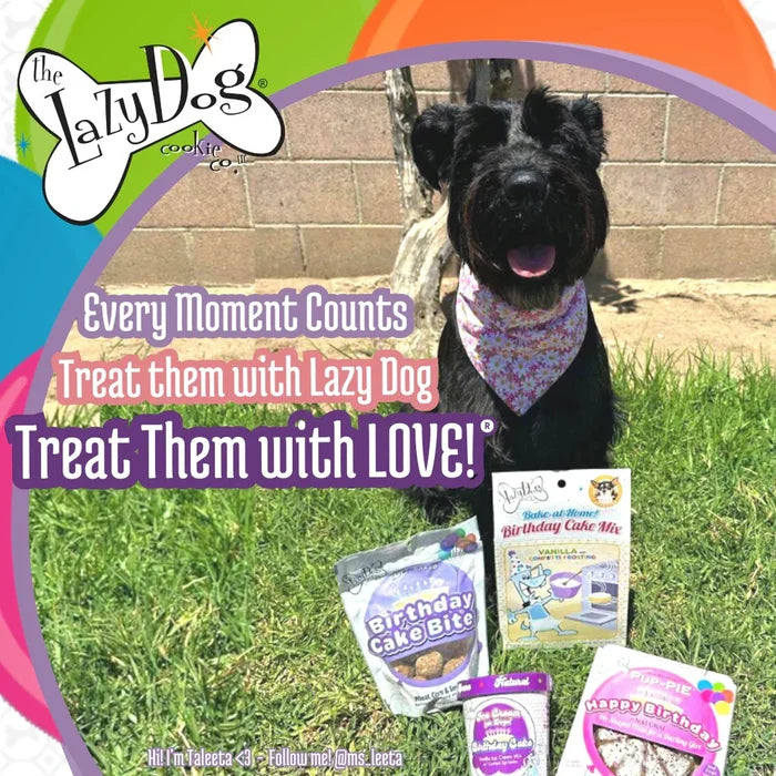 Birthday Cake Bites Dog Treats – 5 oz | Lazy Dog Cookie Co. - Dog.Dog.Cat.