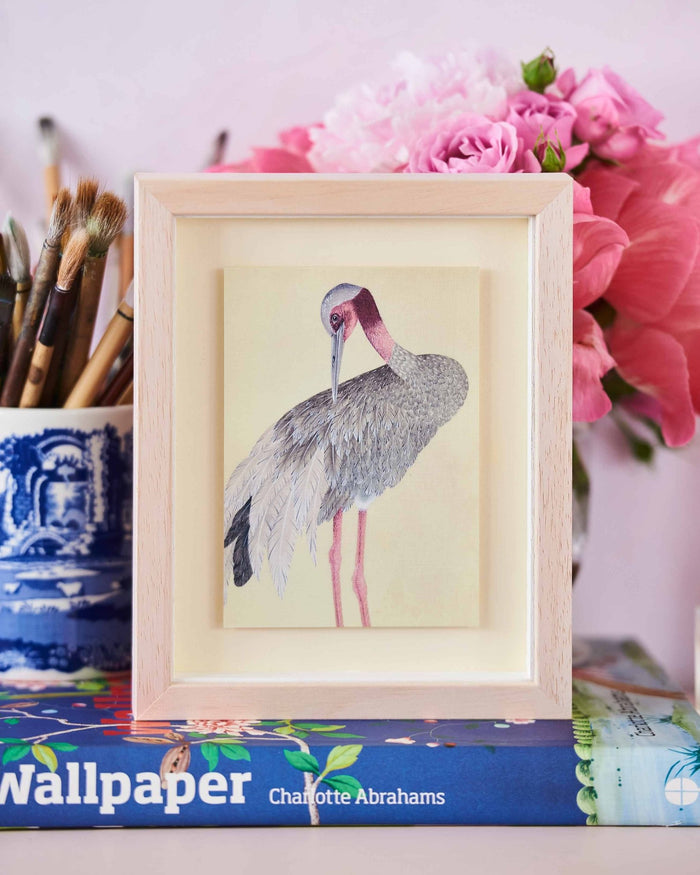 Botanical Mini Art Prints - Set Of 6 - Diane Hill