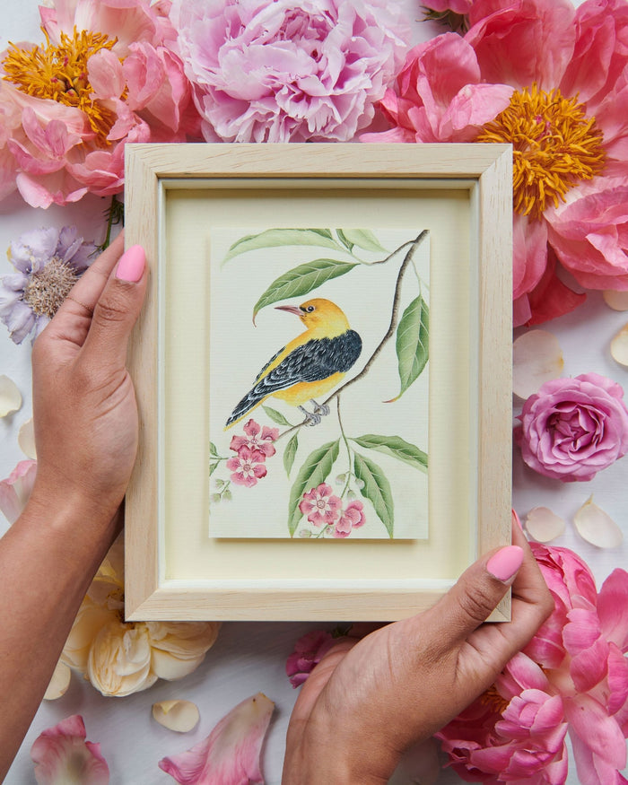 Botanical Mini Art Prints - Set Of 6 - Diane Hill