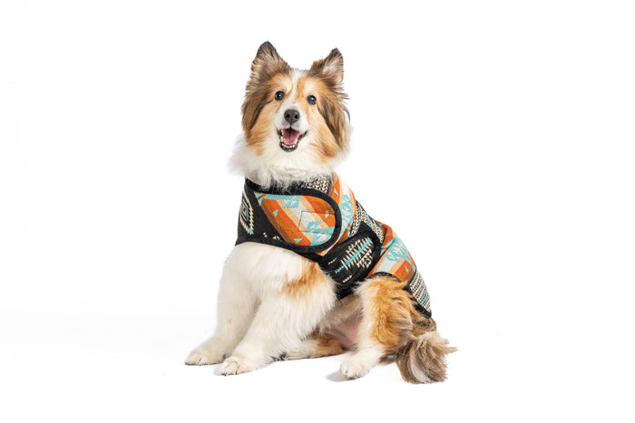 Chilly Dog Dog Blanket Coat - Black Canyon - Dog.Dog.Cat.