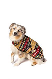 Chilly Dog Dog Blanket Coat Tan Tartan - Dog.Dog.Cat.