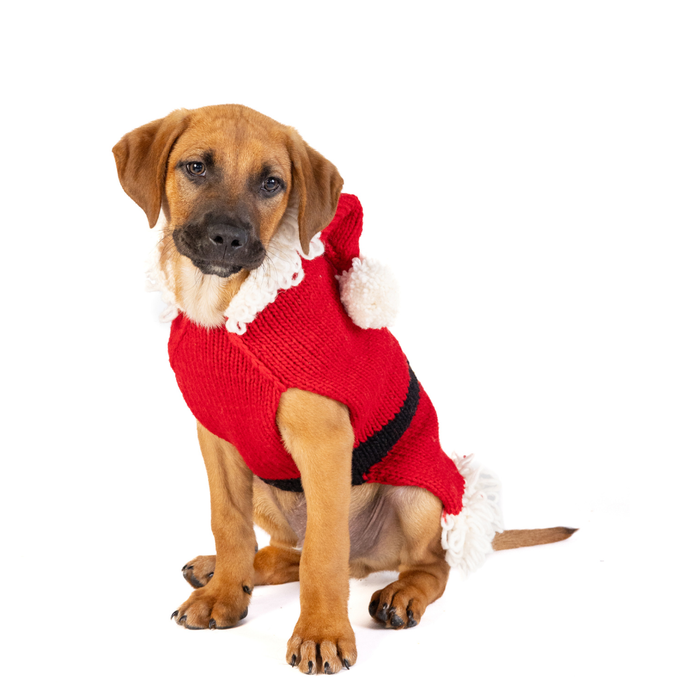 Chilly Dog Santa Dog & Cat Sweater - Dog.Dog.Cat.