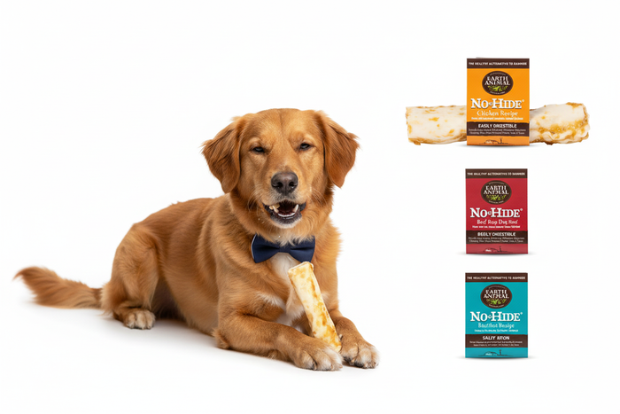Earth Animal No-Hide Chews lifestyle image with actual product