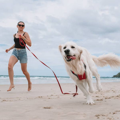 Ezydog Track & Train Leash - Dog.Dog.Cat.