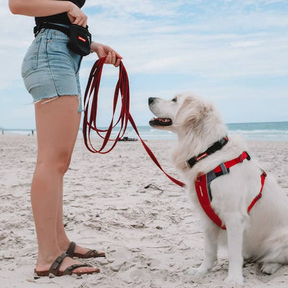 Ezydog Track & Train Leash - Dog.Dog.Cat.