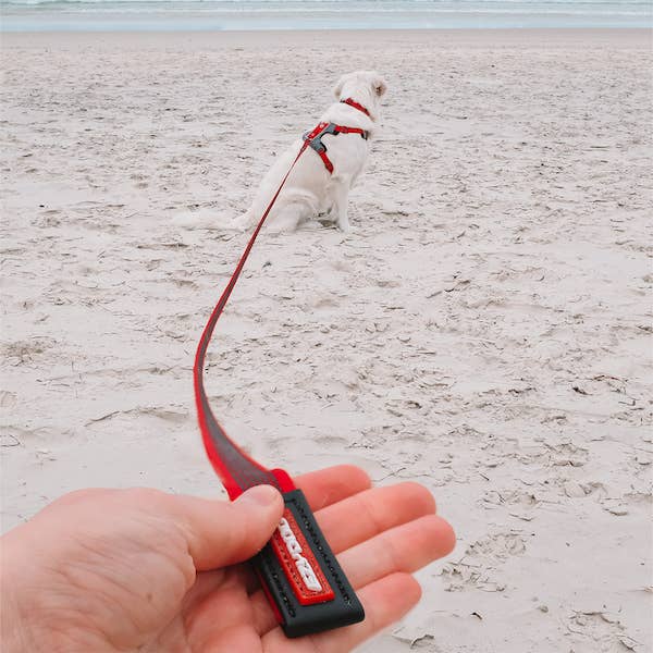 Ezydog Track & Train Leash - Dog.Dog.Cat.