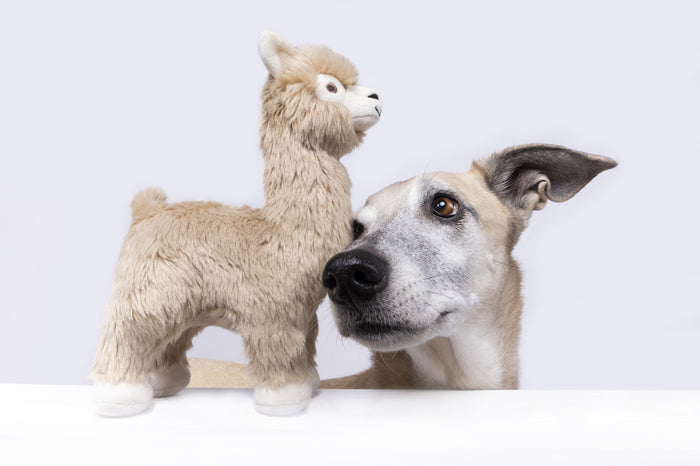 Fluff and Tuff Dog Toys - Inca Alpaca - Dog.Dog.Cat.