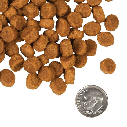 Fromm 4 Star Dry Dog Food - Pork & Apple - Dog.Dog.Cat.