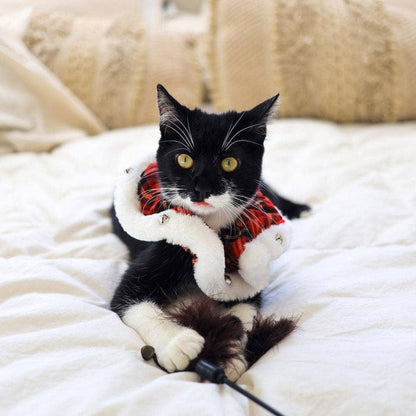 Huxley & Kent - H&K Ruff Royal Tartan - Dog.Dog.Cat.