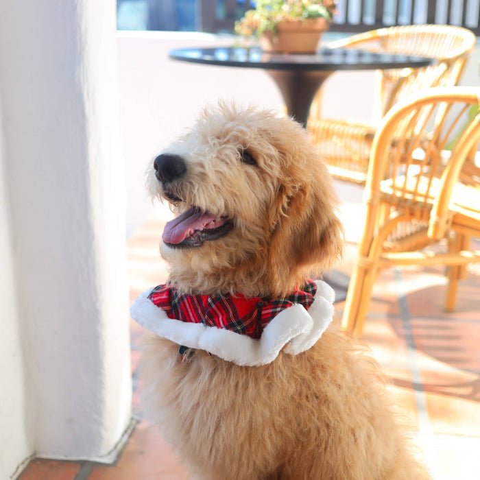 Huxley & Kent - H&K Ruff Royal Tartan - Dog.Dog.Cat.