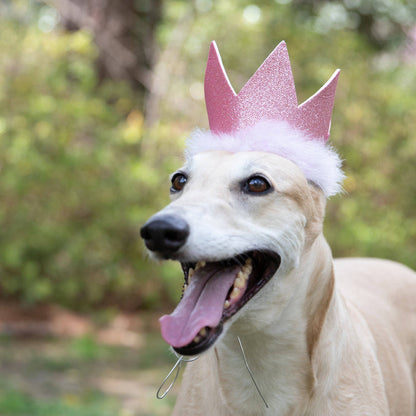 Huxley & Kent - H&K Party Crown Pink with SnugFit® - Dog.Dog.Cat.