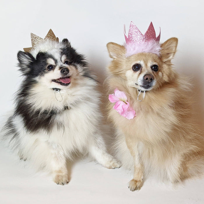Huxley & Kent - H&K Party Crown Pink with SnugFit® - Dog.Dog.Cat.