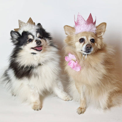 Huxley & Kent - H&K Party Crown Pink with SnugFit® - Dog.Dog.Cat.