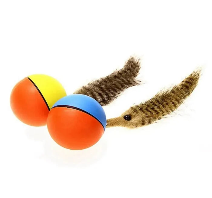 Motor Operated Ball with a Furry Tail - Dog.Dog.Cat.