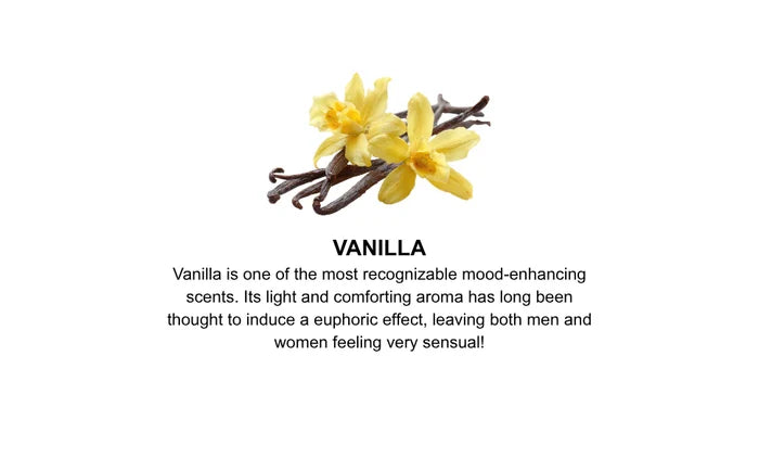 Kama Sutra Sex Magnet Pheromone Infused Massage Oil