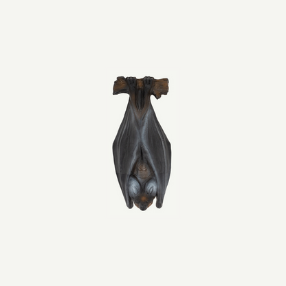 Longlife Flughund