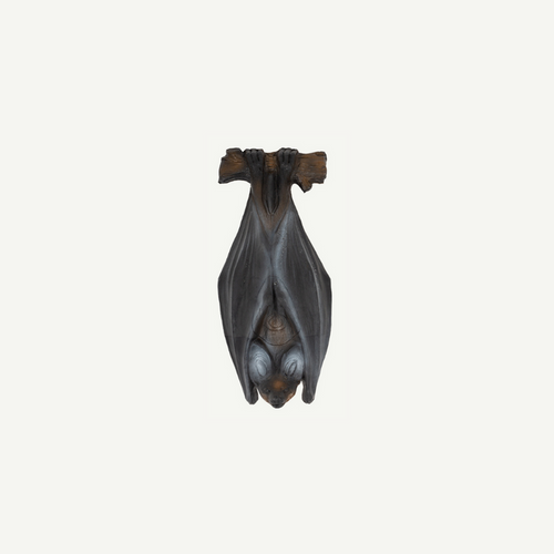 Longlife Flughund