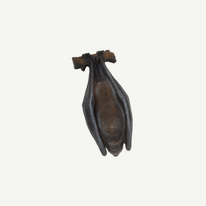 Longlife Flughund