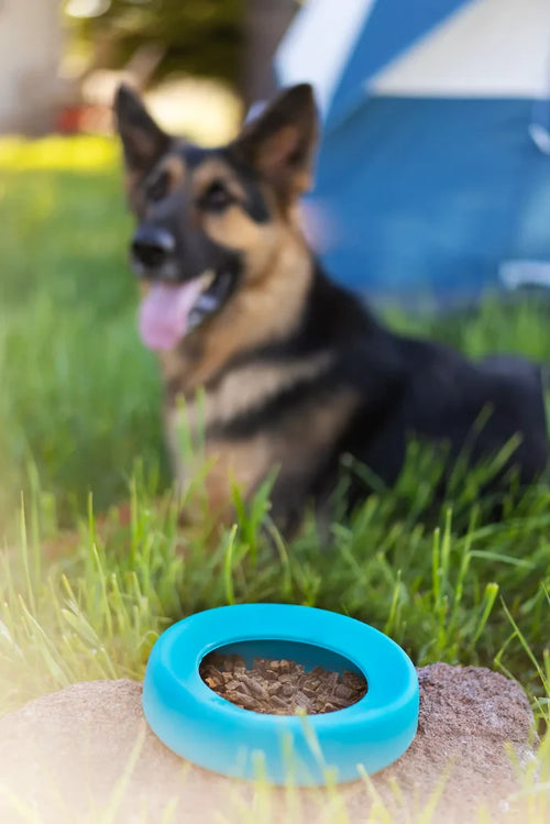 Messy Mutts NonSpill Bowl - 5.25 cup - Dog.Dog.Cat.