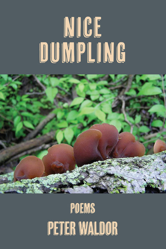Nice Dumpling
