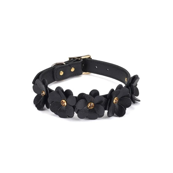 Night Blossom Leather Collar and Leash