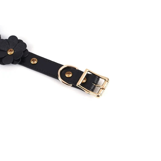 Night Blossom Leather Collar and Leash