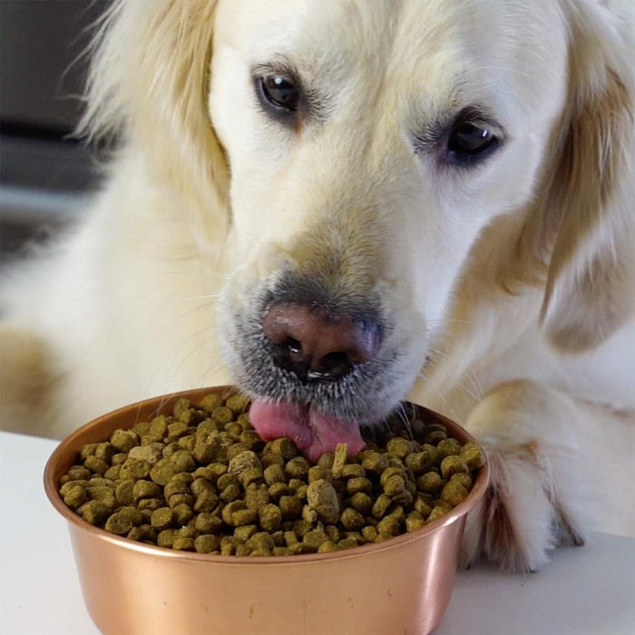 Open Farm Dry Dog Food Whitefish - Dog.Dog.Cat.