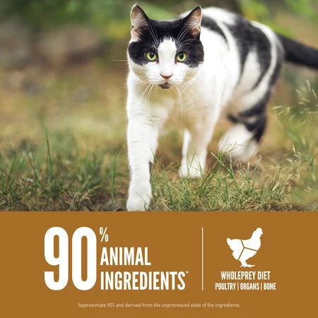 Orijen Dry Cat Food USA-Cat/Kitten - Dog.Dog.Cat.