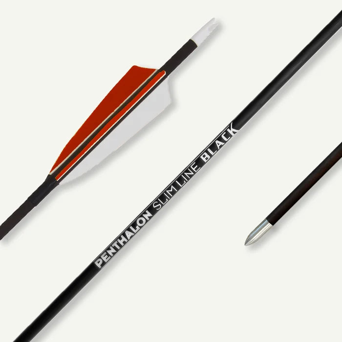 Penthalon Carbonpfeile Slim Line Black Naturfedern 600