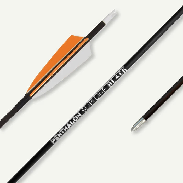 Penthalon Carbonpfeile Slim Line Black Naturfedern 800