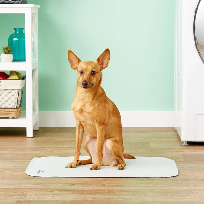 Pet Parents® - Pawtect® Pads, Premium Washable Dog Pee Pads - Dog.Dog.Cat.