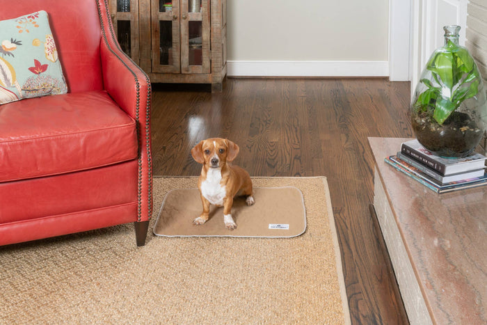 Pet Parents® - Pawtect® Pads, Premium Washable Dog Pee Pads - Dog.Dog.Cat.