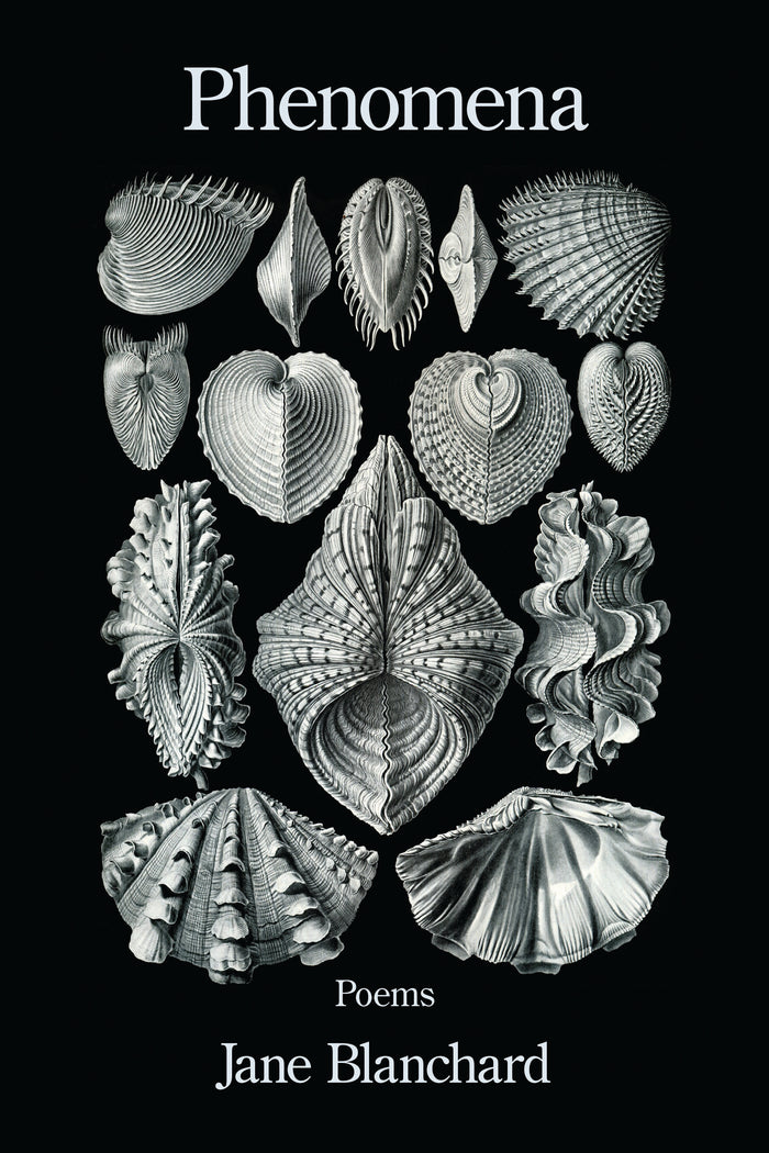 Phenomena