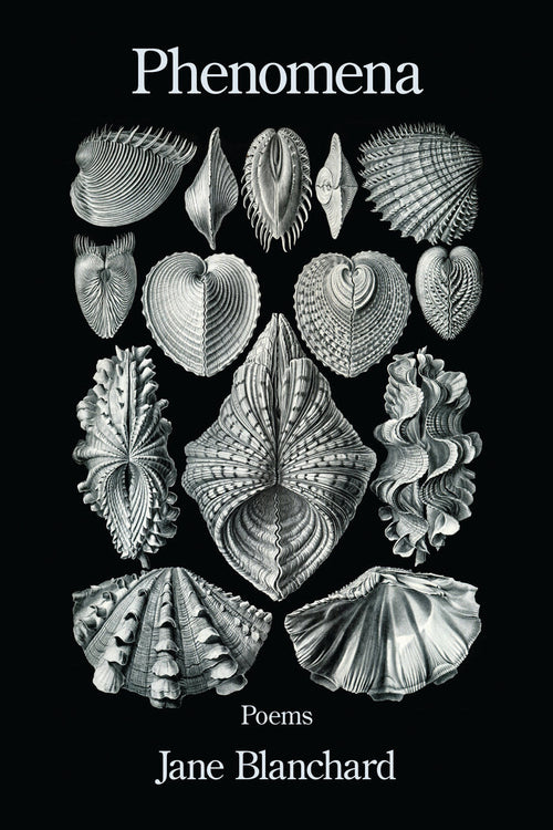Phenomena
