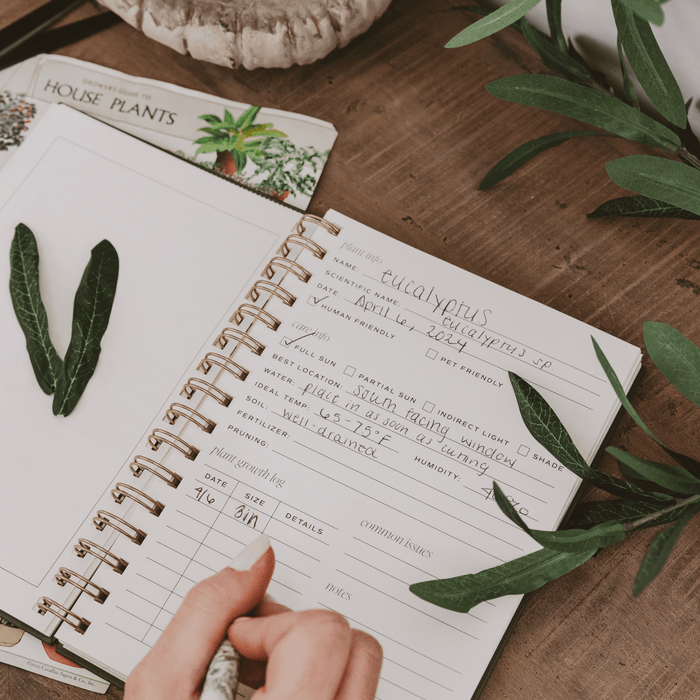 Plant Journal - Sweet Water Decor - Notebooks