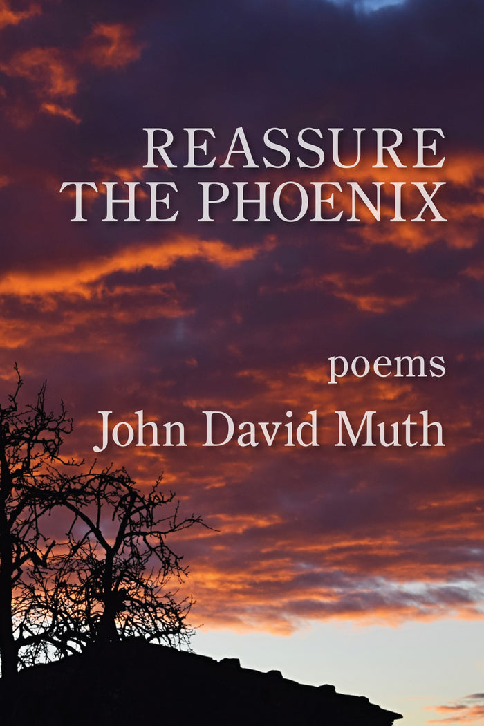 Reassure the Phoenix